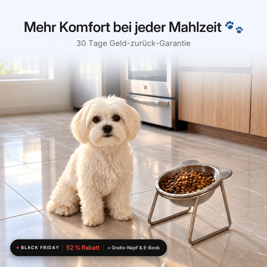 Hollier™ Orthopädischer Futternapf